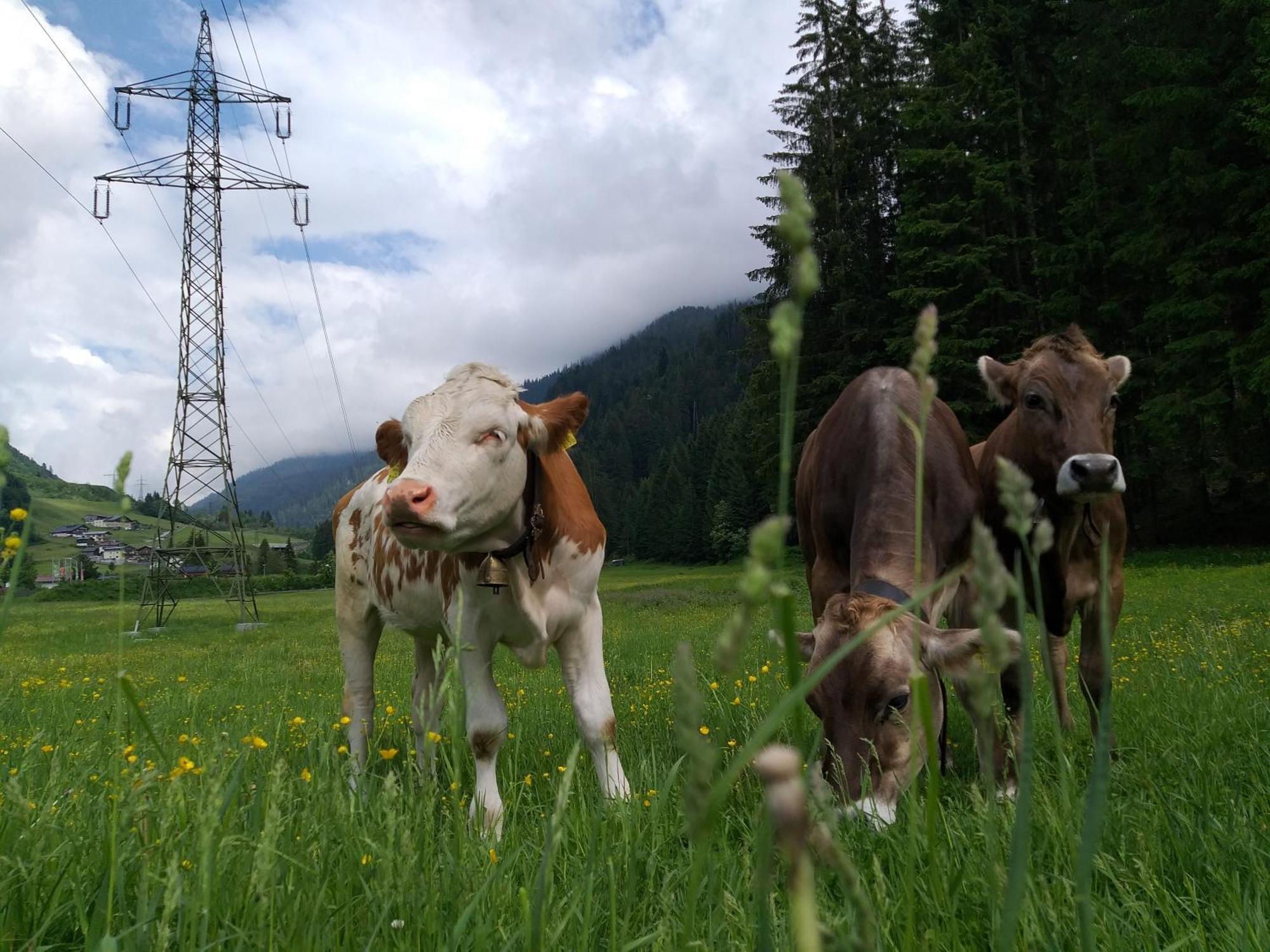 Landhaus Juritsch Klosterle am Arlberg Bagian luar foto