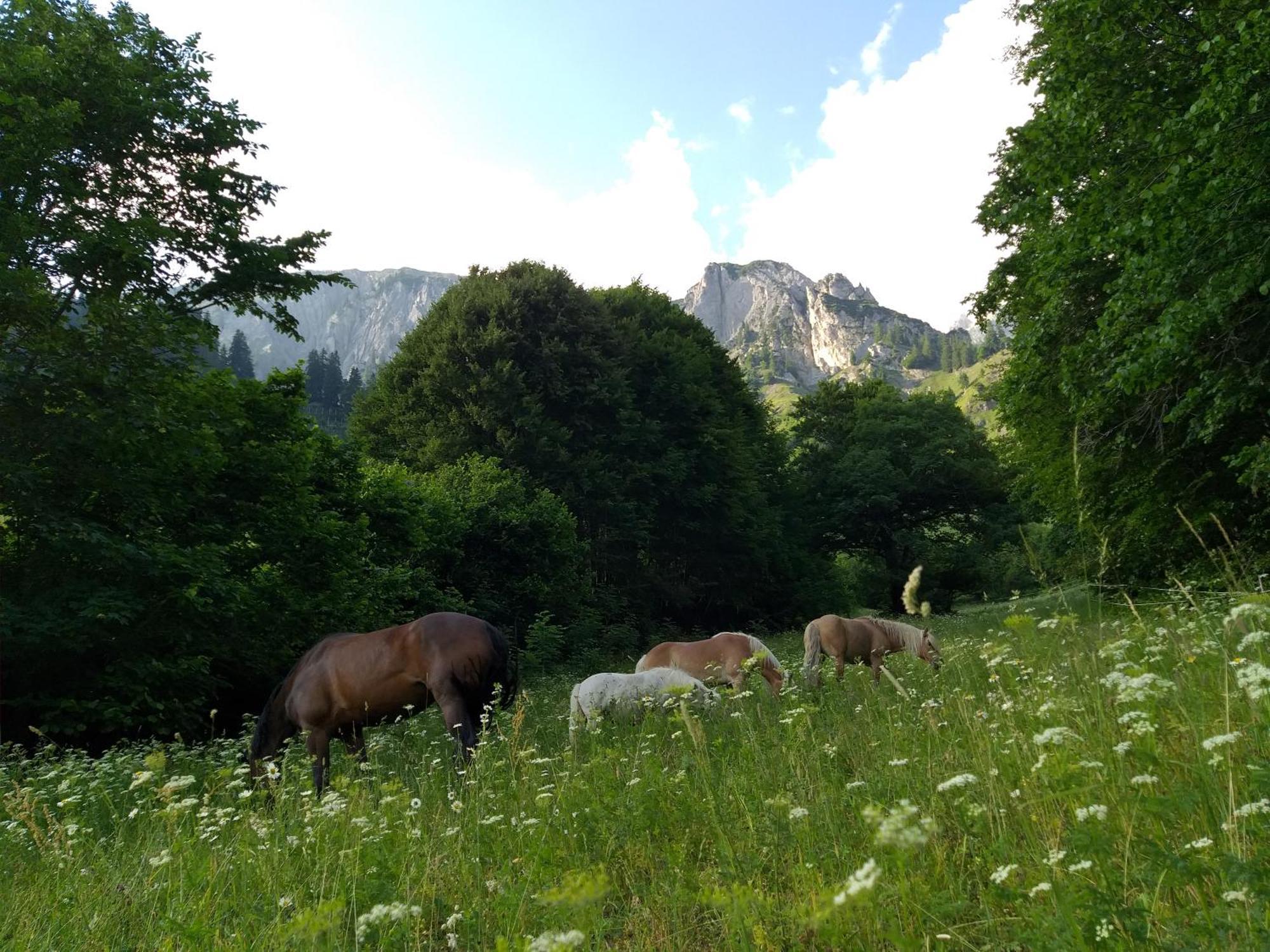 Landhaus Juritsch Klosterle am Arlberg Bagian luar foto